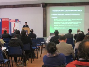 IMG_1100 (2) (1)