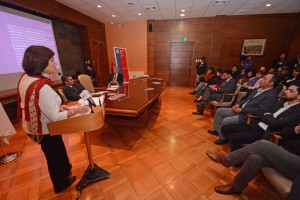 const osorno 6